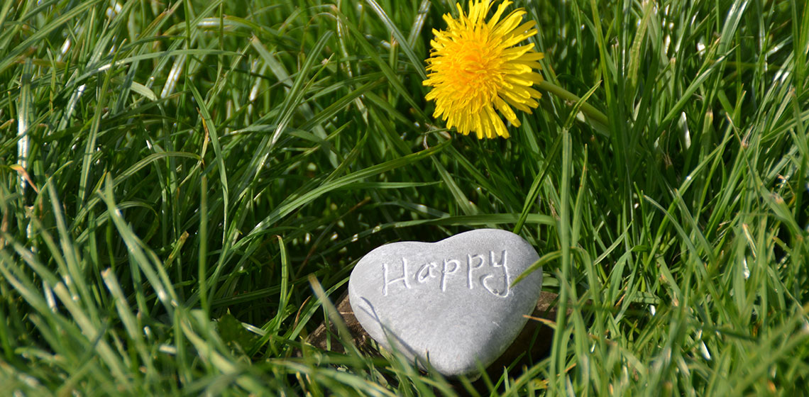 Happiness and joy